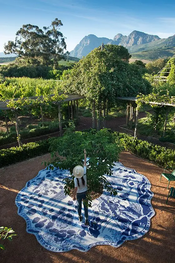 A Symphony of Experiences: Exploring Babylonstoren in South Africa (Part 3)
