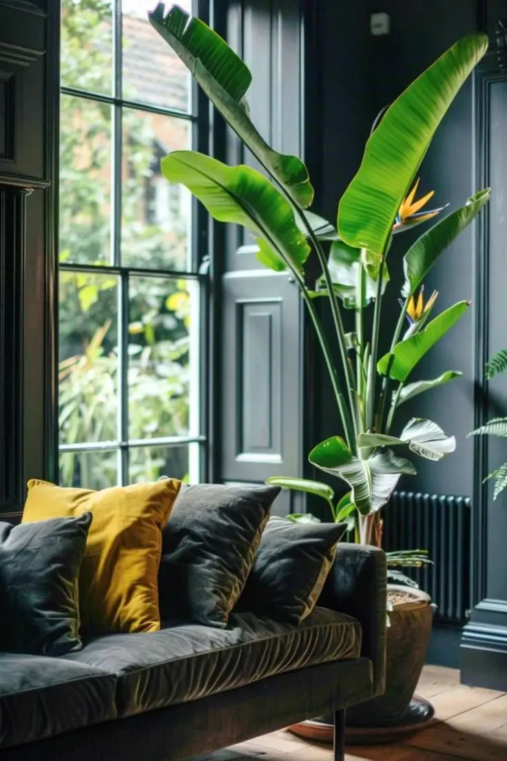 How to Incorporate Greenery into Your Home: Transform Your Space Naturally